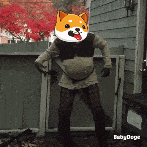Babydoge Crypto GIF