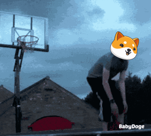 Babydoge Crypto GIF