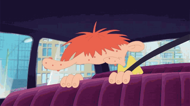 Bad Driver Passenger GIF