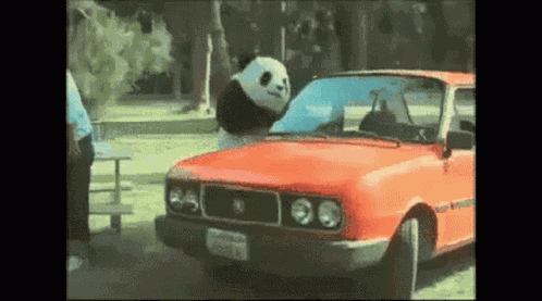 Bad Panda Dont Mess With Me GIF