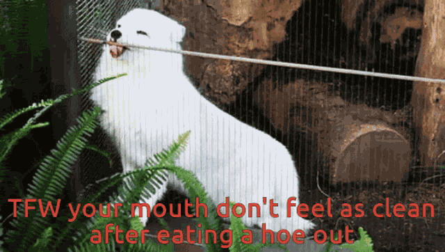 Bad Taste Cotton Mouth GIF