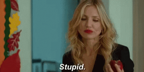 Bad Teacher Stupid GIF