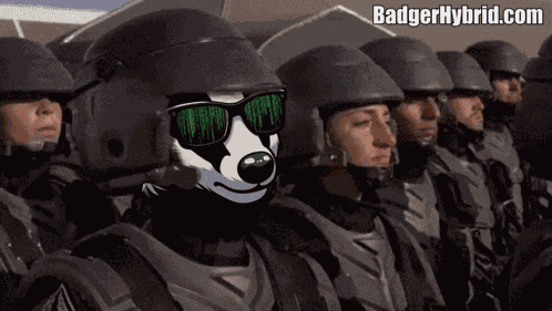 Badgerhybrid GIF