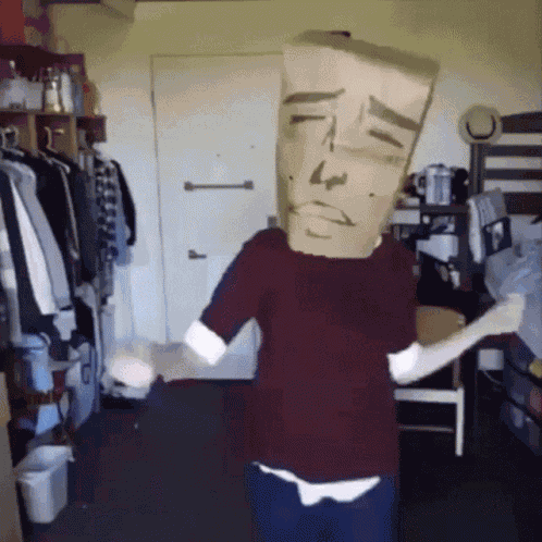 Bag Meme GIF