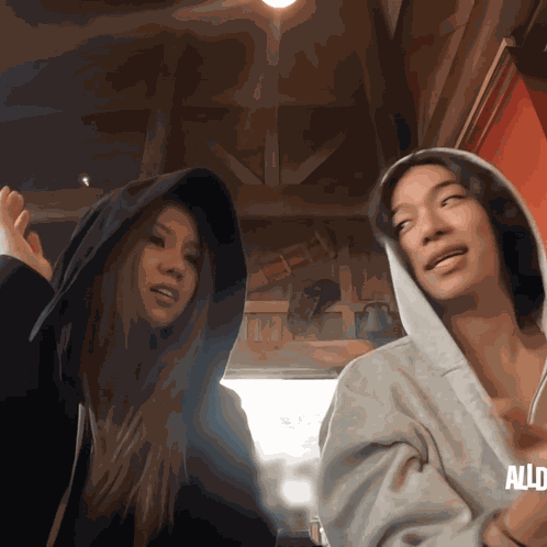 Bailey Tarzzan GIF