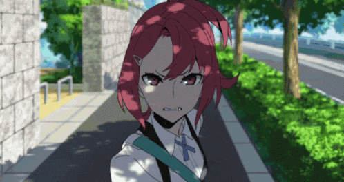 Baka Anime GIF