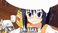 Baka Meme