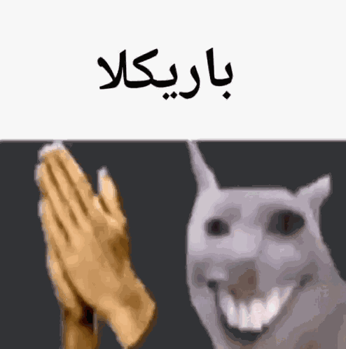 Bakra Good Job GIF