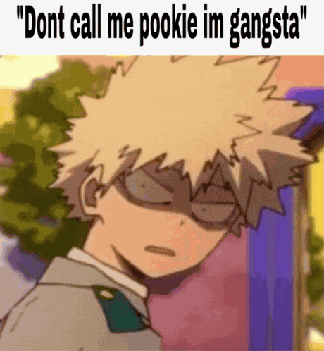 Bakugo Meme