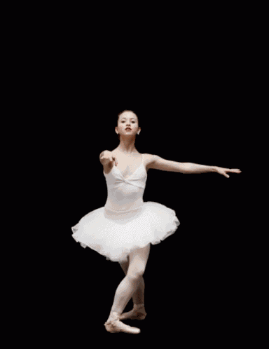 Ballet Dancer GIF
