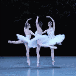 Ballet Dancers GIF