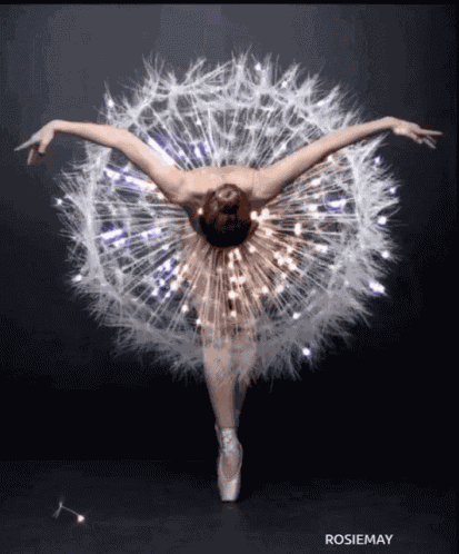 Ballet GIF