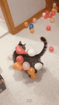 Balloon Cat Birthday GIF