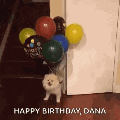 Balloon Dog GIF
