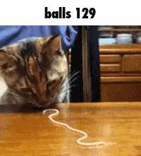 Balls 129 GIF