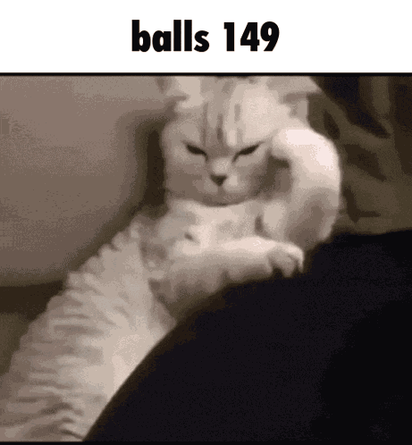 Balls 149 GIF