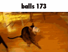 Balls 173 GIF