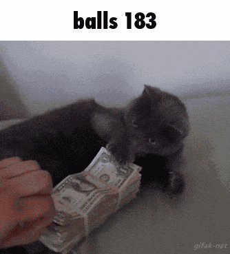 Balls 183 GIF
