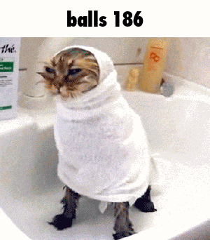 Balls 186 GIF