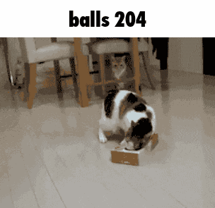 Balls 204 GIF
