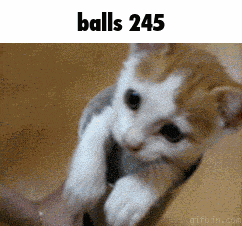 Balls 245 GIF