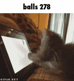 Balls 278 GIF