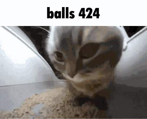 Balls 424 GIF