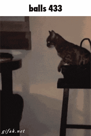 Balls 433 GIF