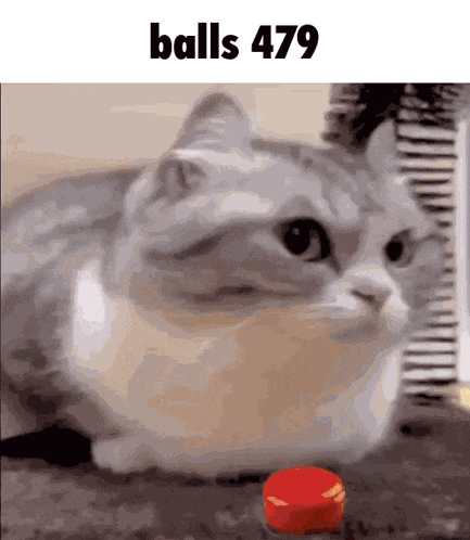 Balls 479 GIF