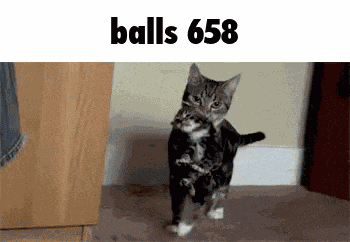 Balls 658 GIF