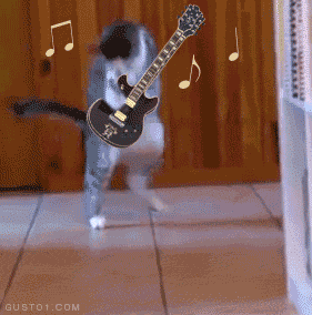 Balthazar Chat GIF