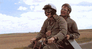 Balthazar Dumb And Dumber GIF