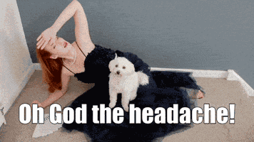 Balthazar Mal De Tête GIF