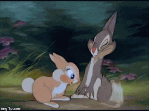 Bambi Thumper GIF