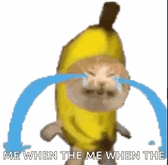 Banana Cat Crying GIF