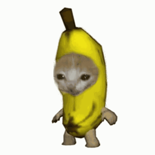 Banana Cat GIF