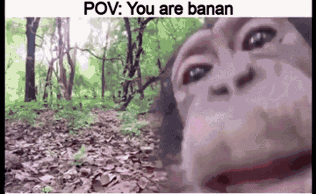 Banana Monke GIF