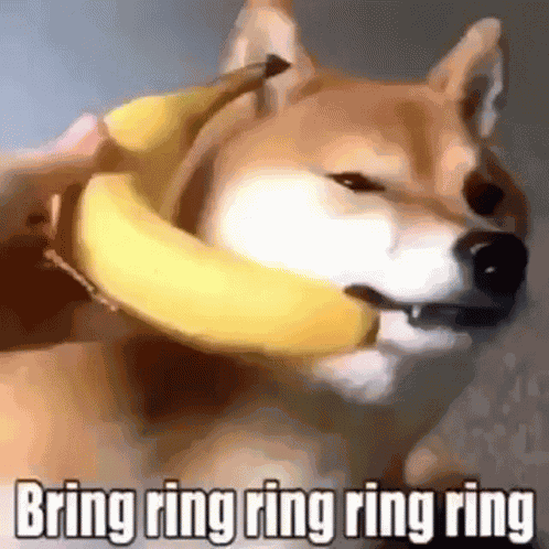 Bananas Banana Phone GIF
