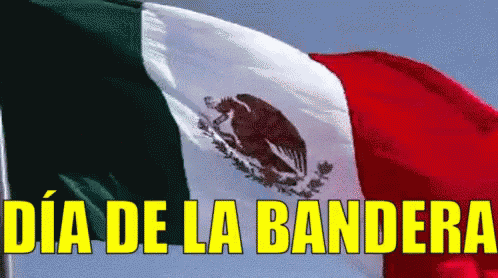 Bandera De México En El Mastil GIF