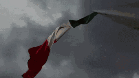 Banderade México GIF