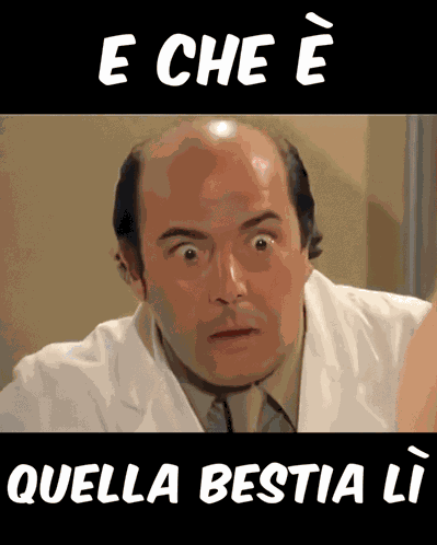 Banfi Colonnello GIF