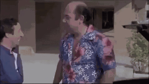 Banfi Lino Banfi Ti Picchio Picchiare Schiaffo Schiaffone Pizza Ceffone Pugno Mazzate Violenza GIF