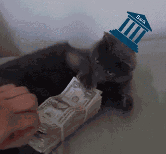 Bank Funny GIF