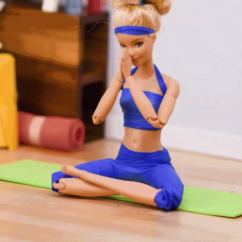 Barbie Barbie Clothing GIF
