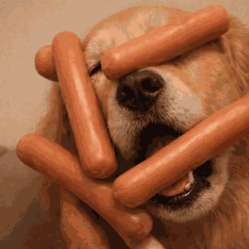 Barking Puppy Hot Dog GIF