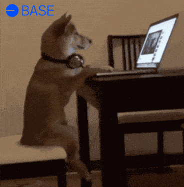 Base Base Meme GIF