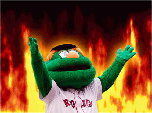 Baseball Red Sox GIF