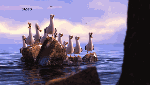 Based Seagulls GIF