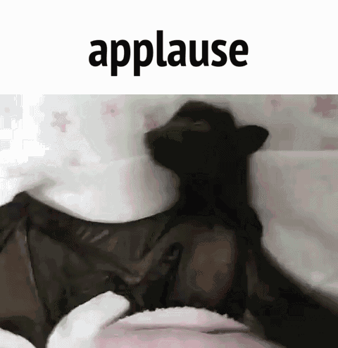Bat Applause GIF