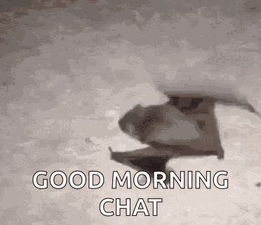 Bat Bat Walk GIF